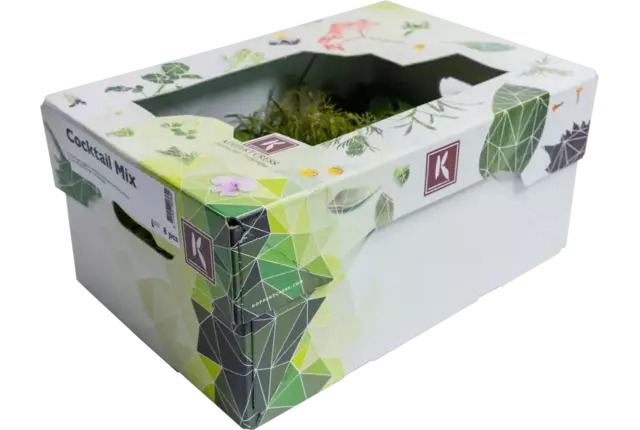 Cocktail mix kist 8 stuks